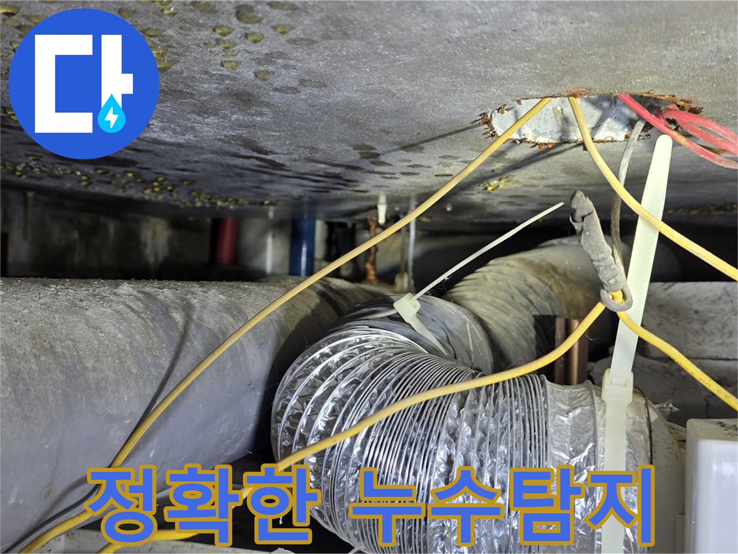 광진구 능동 누수 - 최첨단 장비를 사용한 정확한 누수 탐지