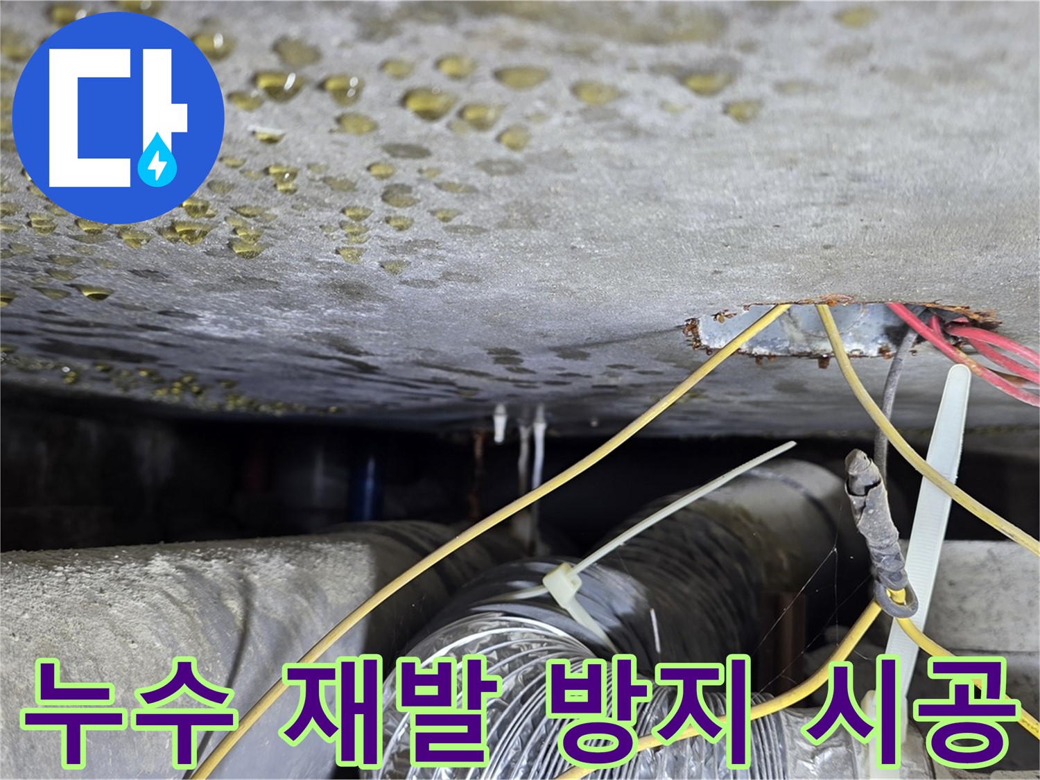 광진구 능동 빌라 누수 꼼꼼한 시공 - 재발 방지 및 철저한 사후 관리