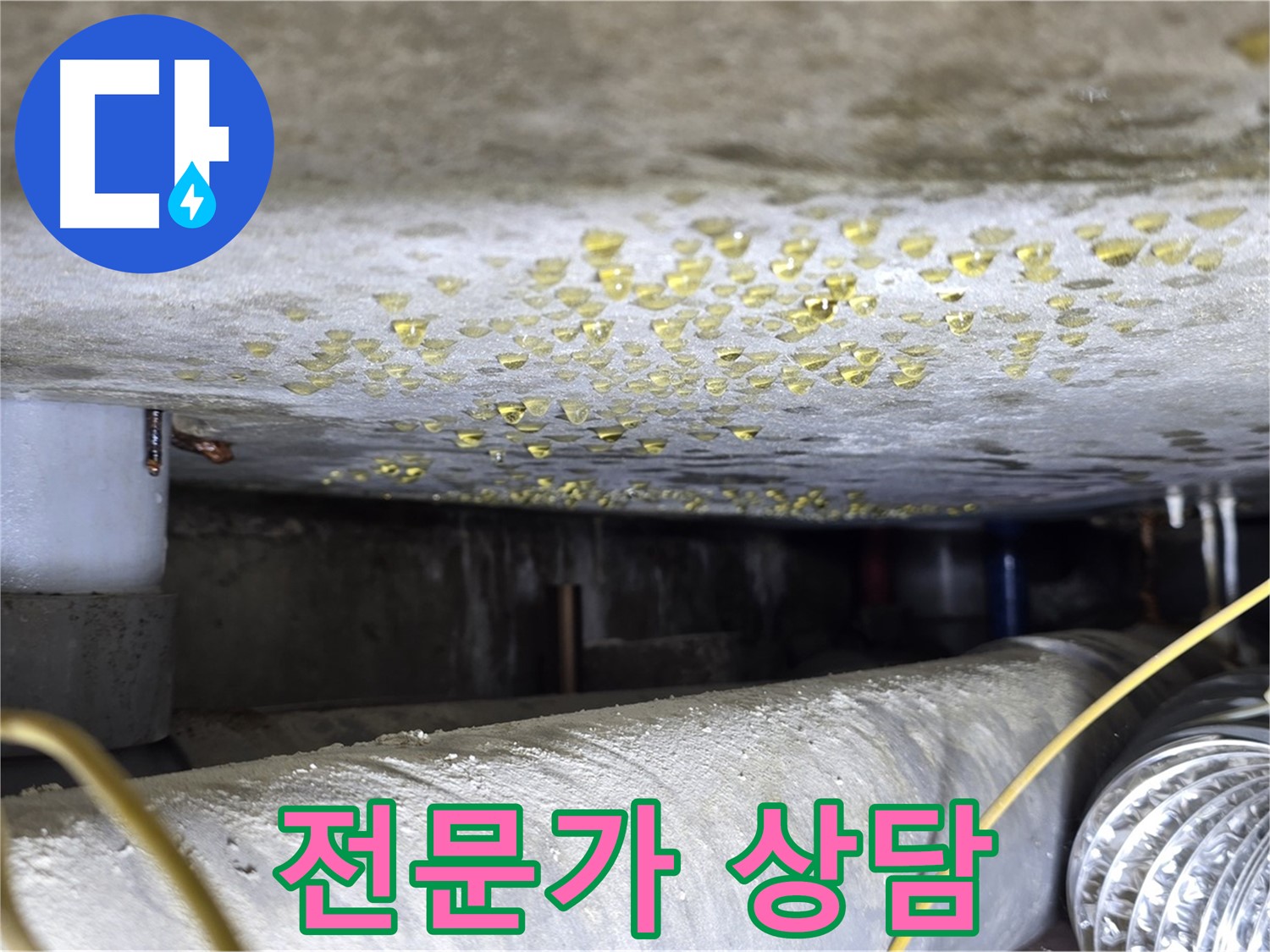 광진구 능동 빌라 천장 누수 - 누수 전문가와 상담하는 모습입니다.