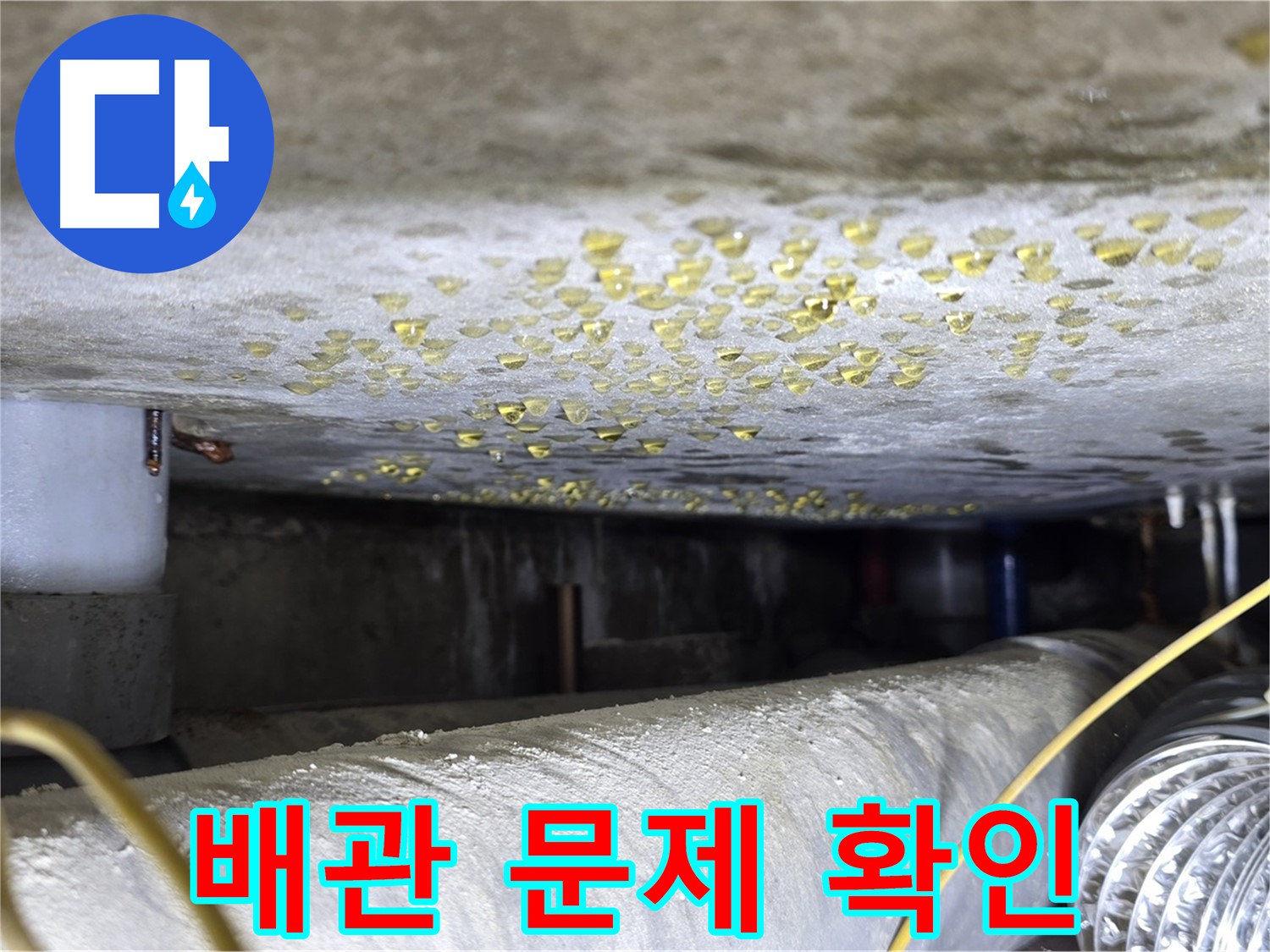 광진구 능동 빌라 천장 누수 - 배관 상태 점검 및 문제 확인