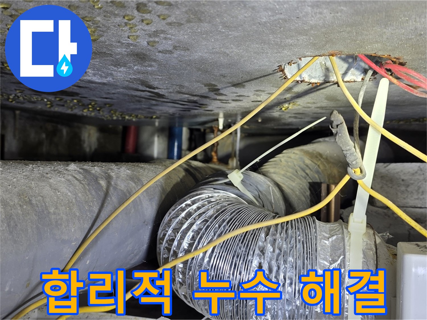 광진구 능동로 누수 - 합리적인 가격으로 최고의 누수 해결