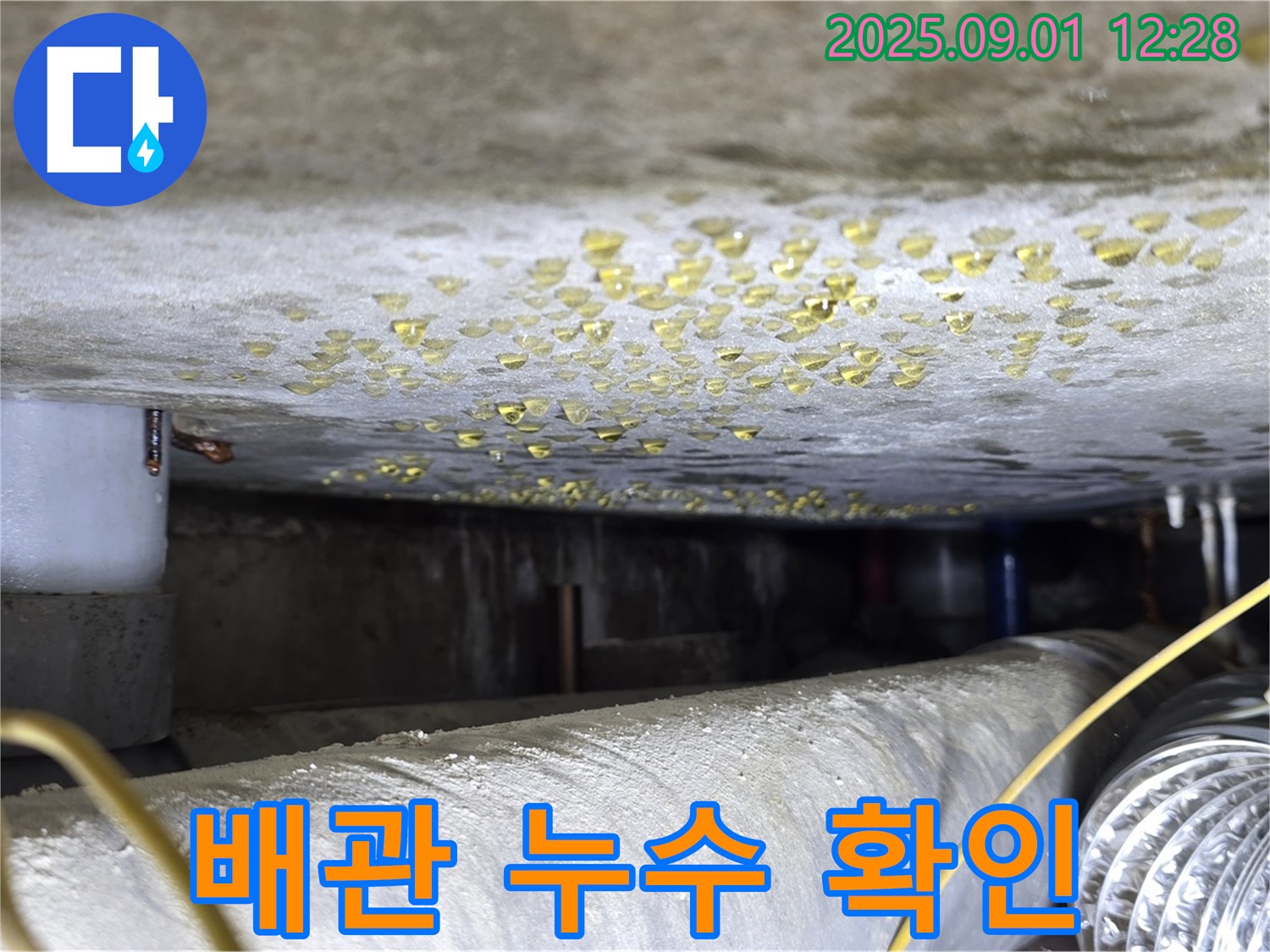 광진구 빌라 배관 누수 확인 - 누수 탐지 전문 기술