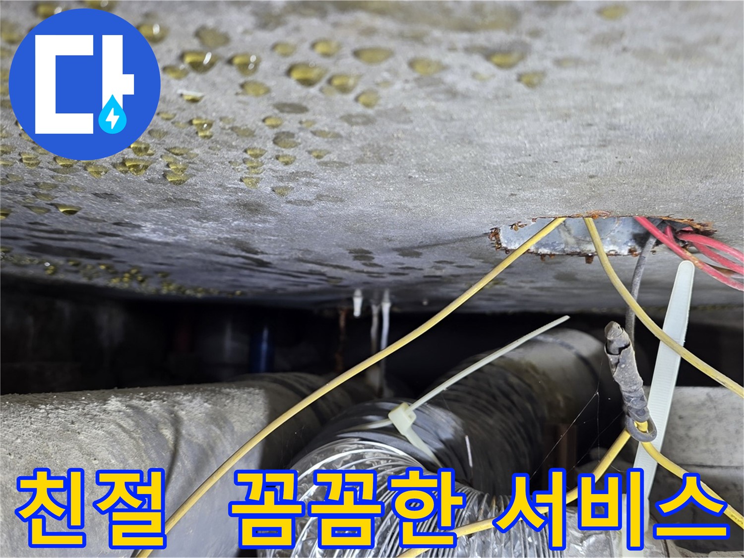 꼼꼼하고 친절한 누수 서비스 - 콘크리트 균열과 배관 문제 해결