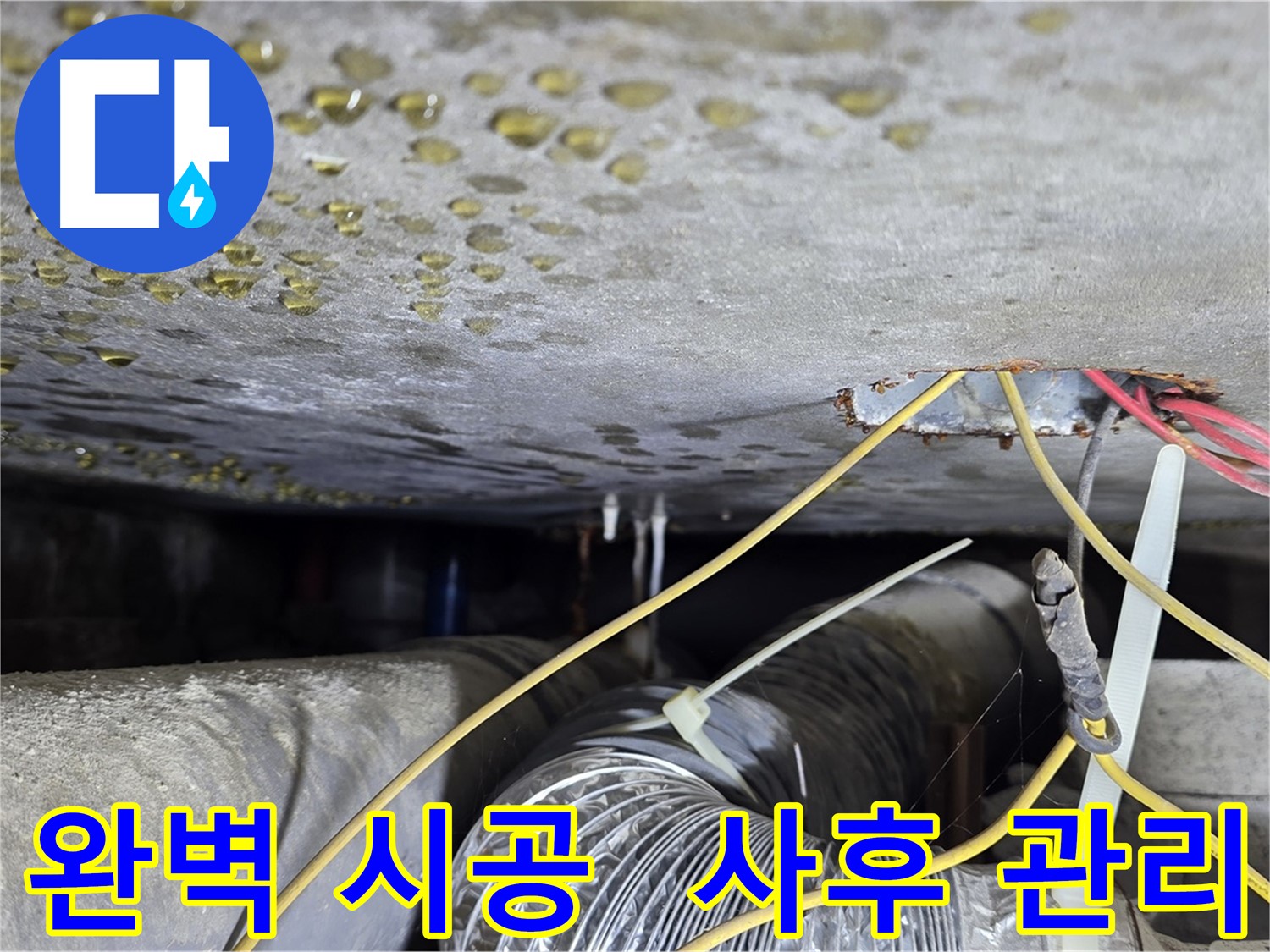 완벽 시공 및 철저한 사후 관리 - 콘크리트 균열과 배관 문제로 인한 누수 방지