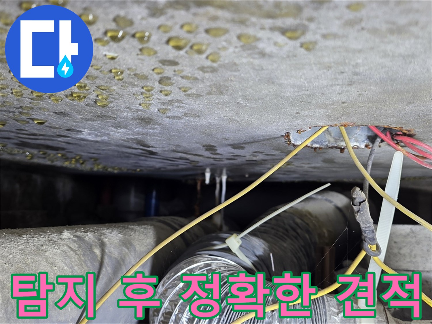 능동 빌라 누수 - 누수 탐지 후 정확한 견적 제공