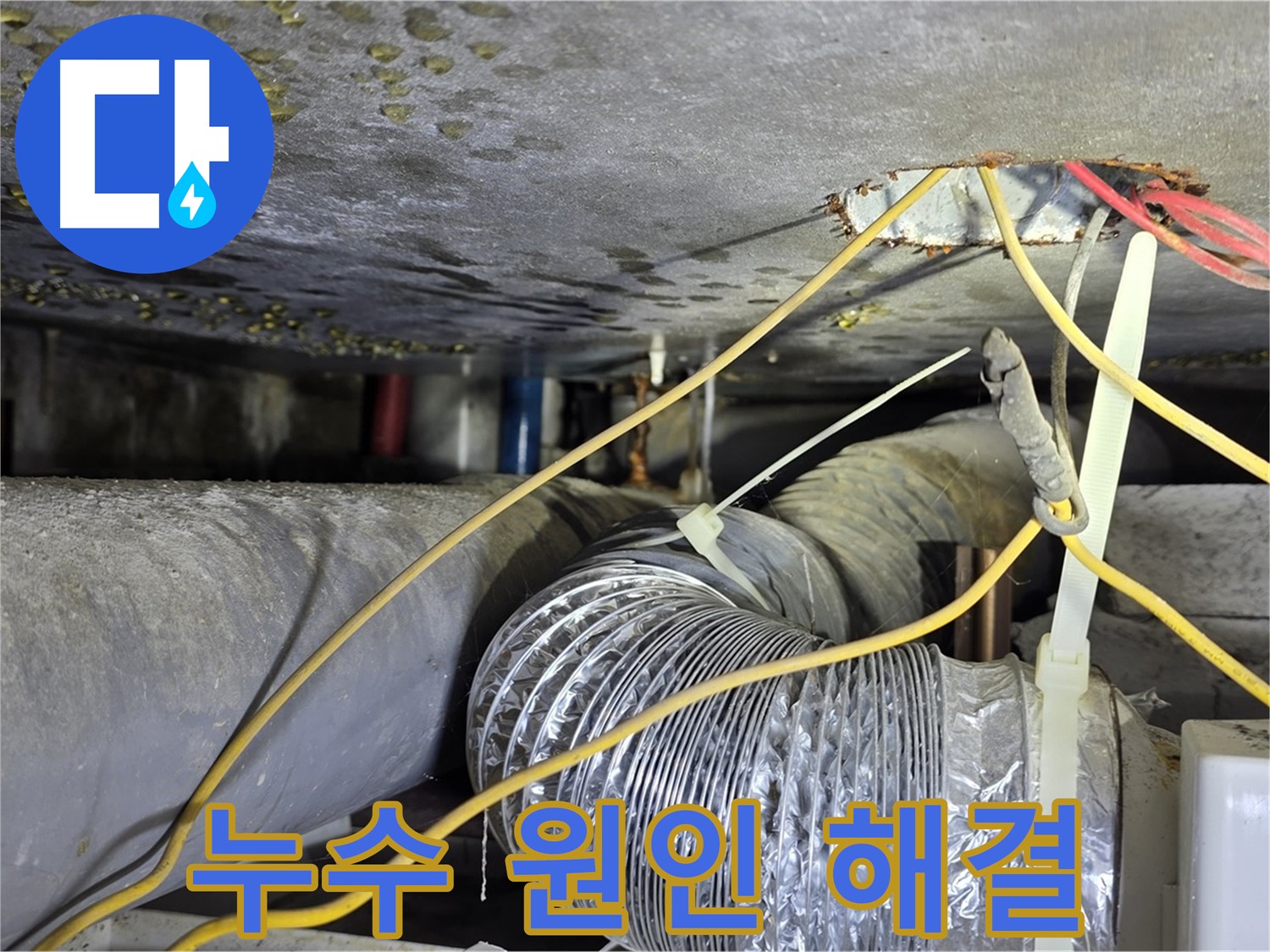 능동 아성빌라트 천장 누수 원인 분석 및 해결 - 누수 문제 해결 전문 기술