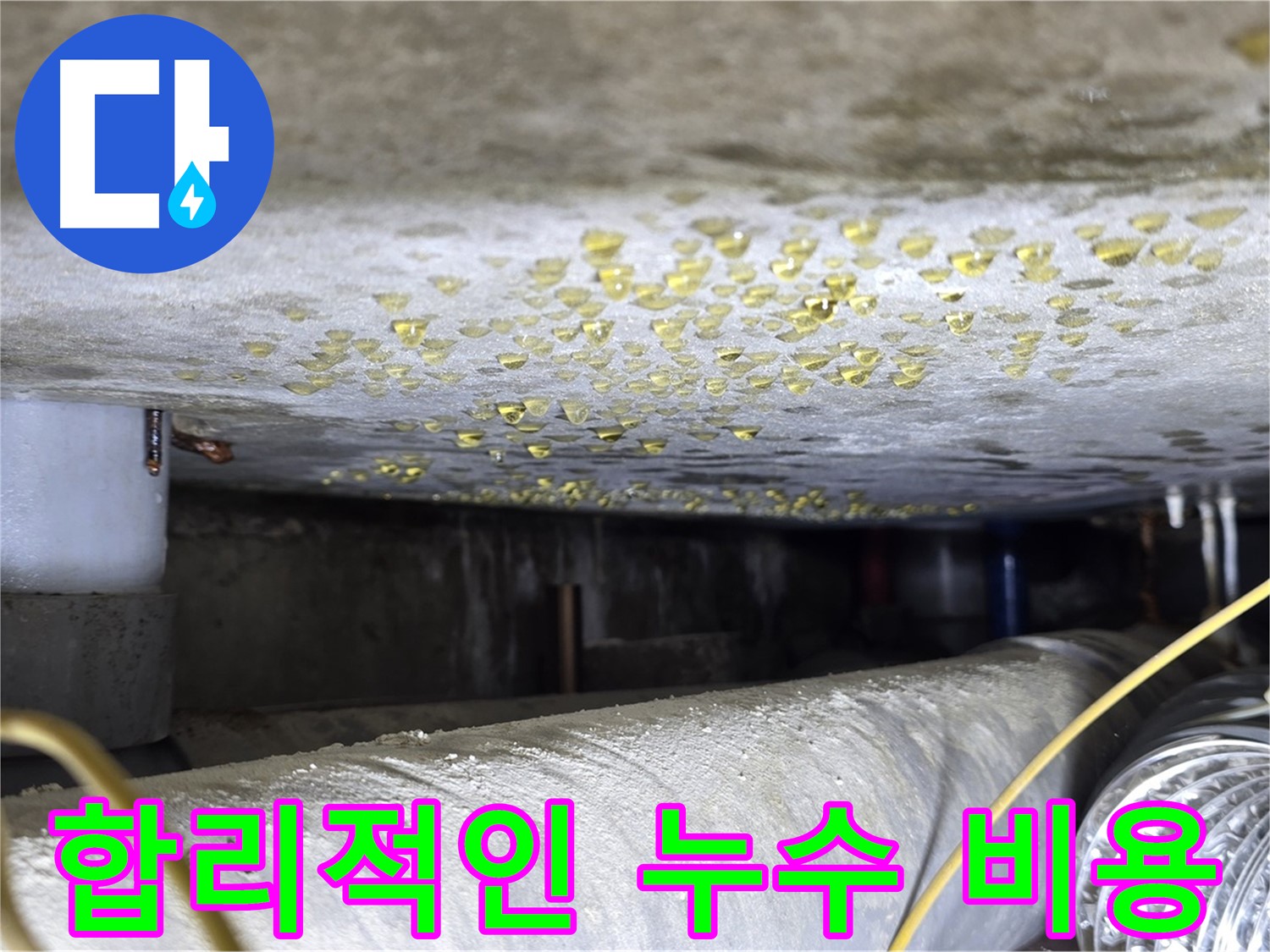 능동 아성빌라트 천장 누수 - 합리적인 비용으로 누수 해결