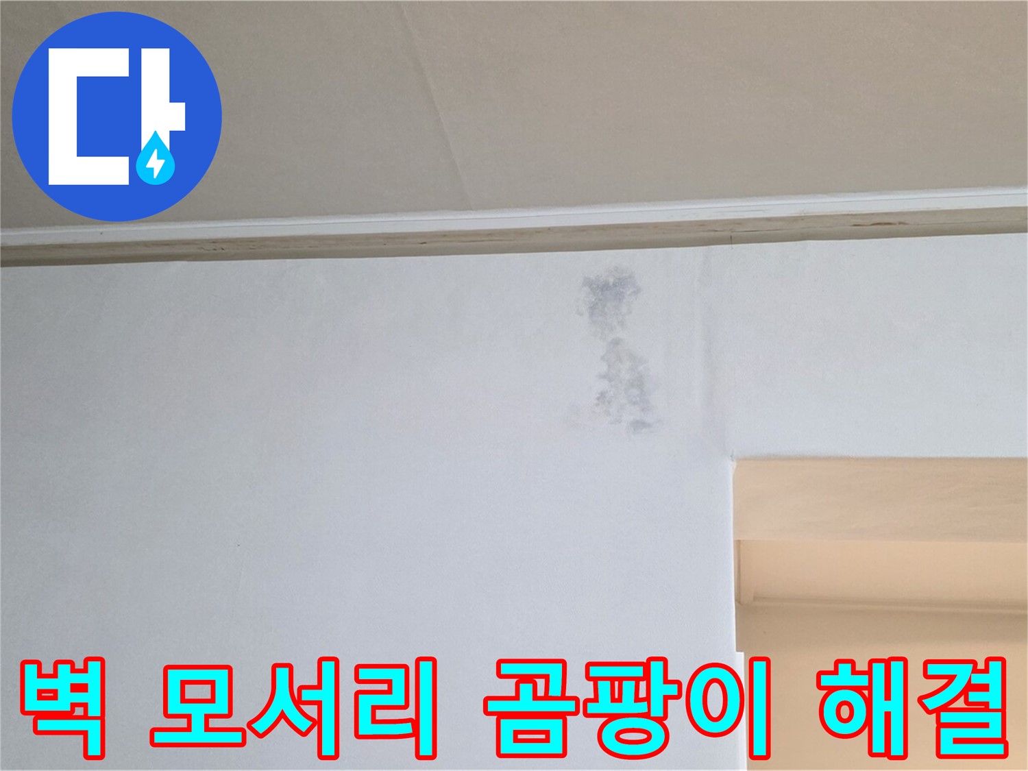 벽 모서리 곰팡이 - 누수 문제 해결 전문가가 곰팡이 문제를 해결합니다.
