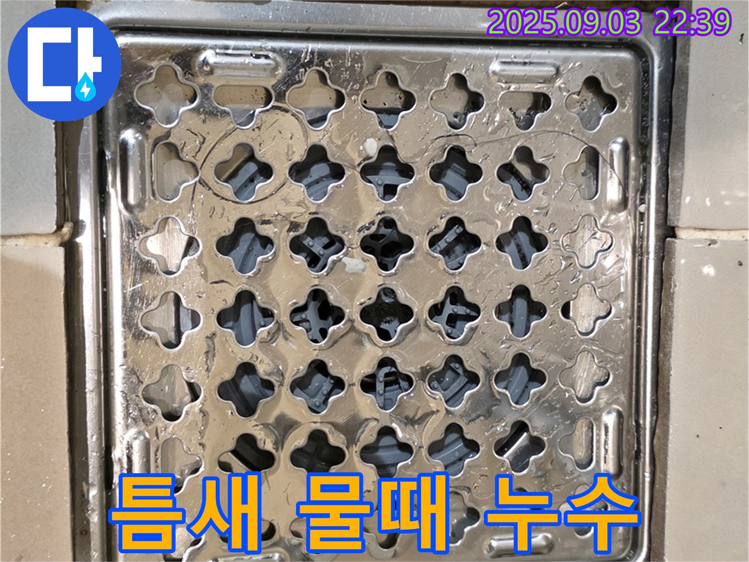 용산구 용산동2가 상가 욕실 - 배수구 주변 틈새와 물때로 인해 누수 발생 의심