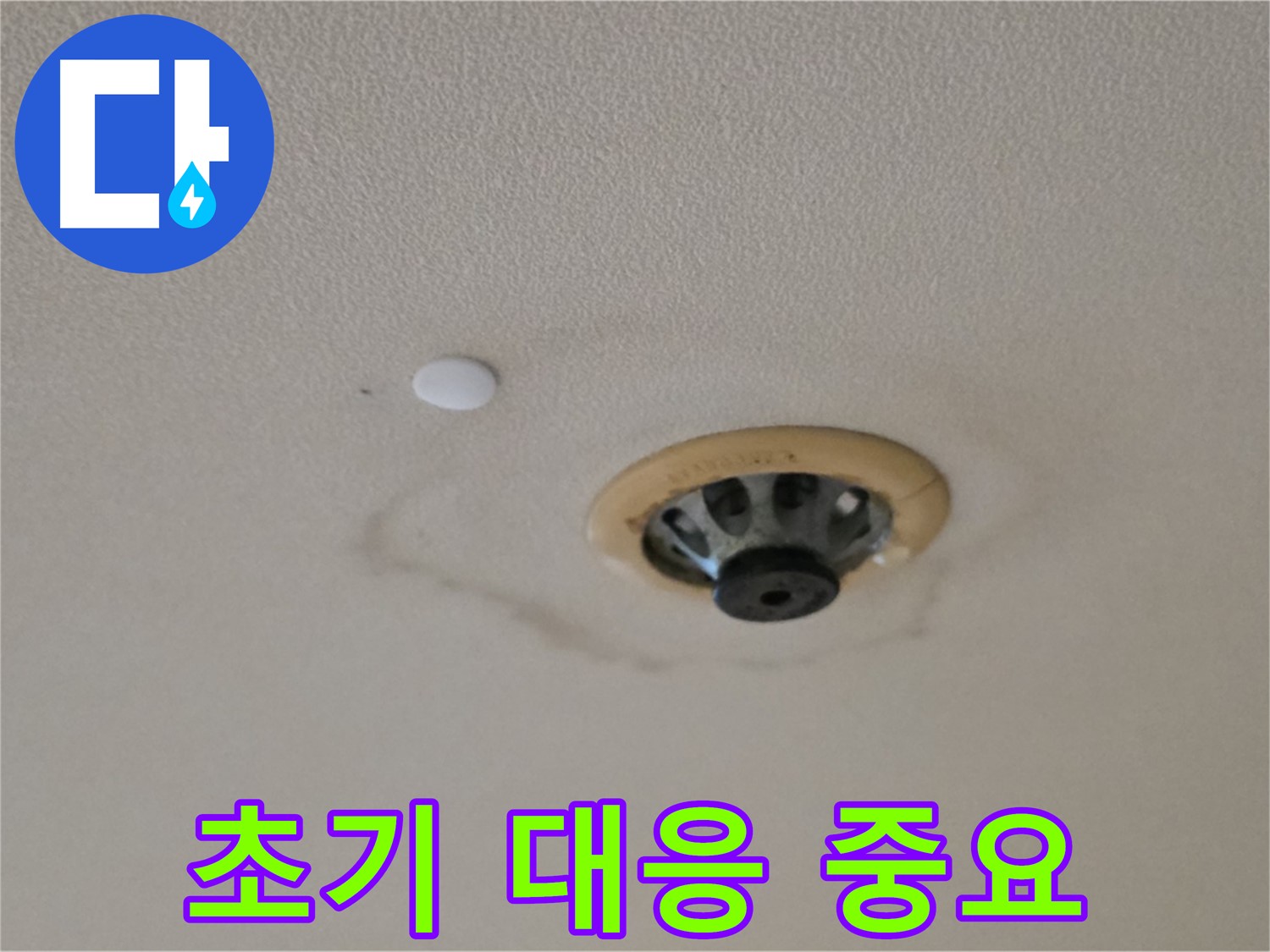 누수 초기 대응 - 빠른 점검 필수