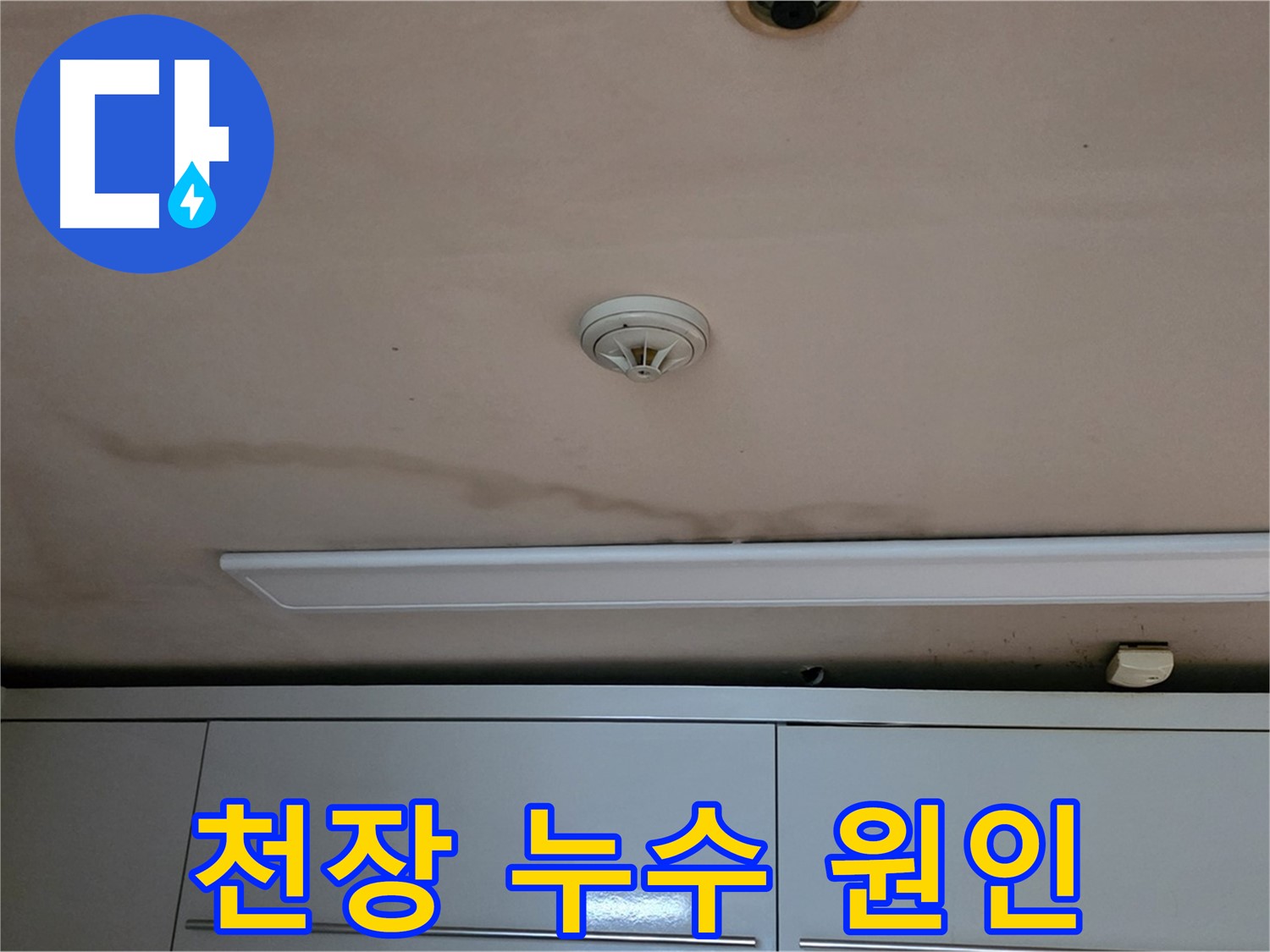동대문구 장안동 르.메이에르 장안타운 천장 누수 - 윗집 문제인지 확인 중