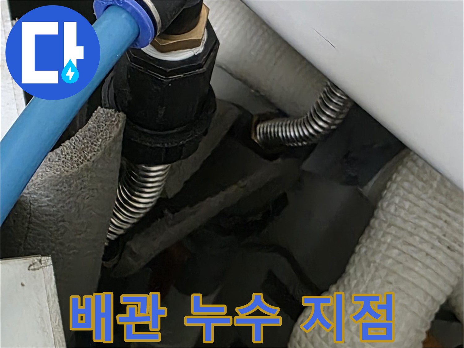 동대문구 장안동 르.메이에르에서 발견된 배관 누수 지점 - 꼼꼼한 점검과 정확한 진단으로 누수의 근본적인 원인을 파악합니다.