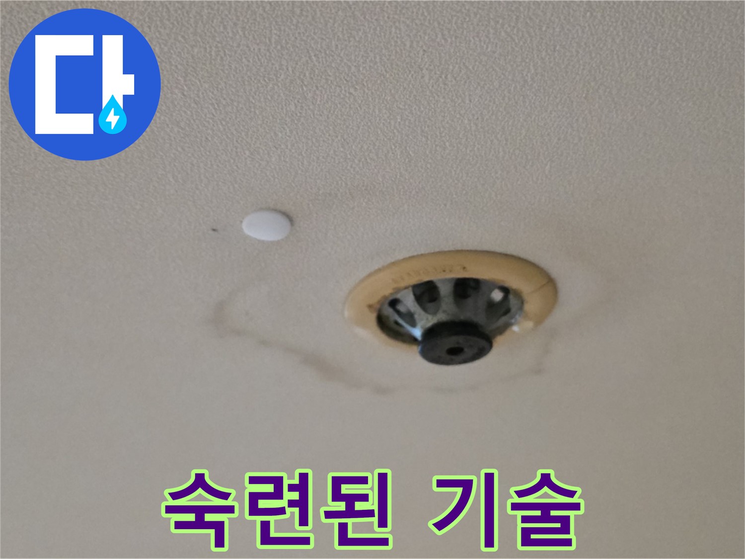 스프링클러 누수 - 숙련된 기술