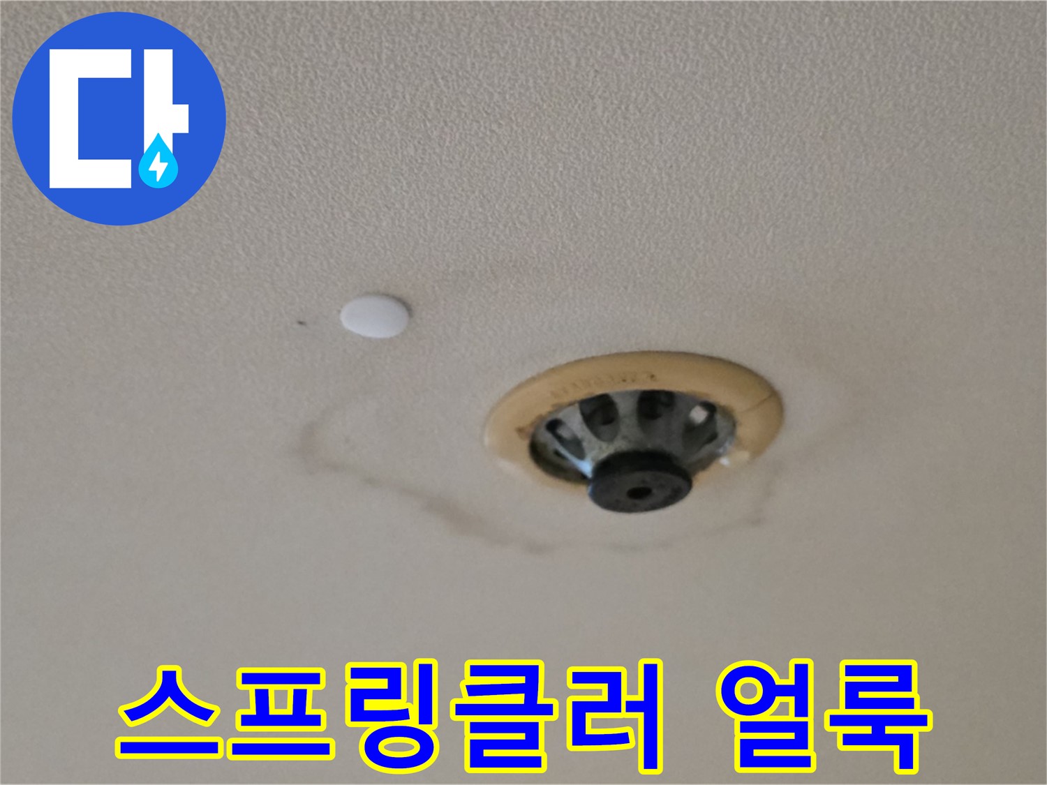 스프링클러 주변 얼룩 - 초기 누수 의심