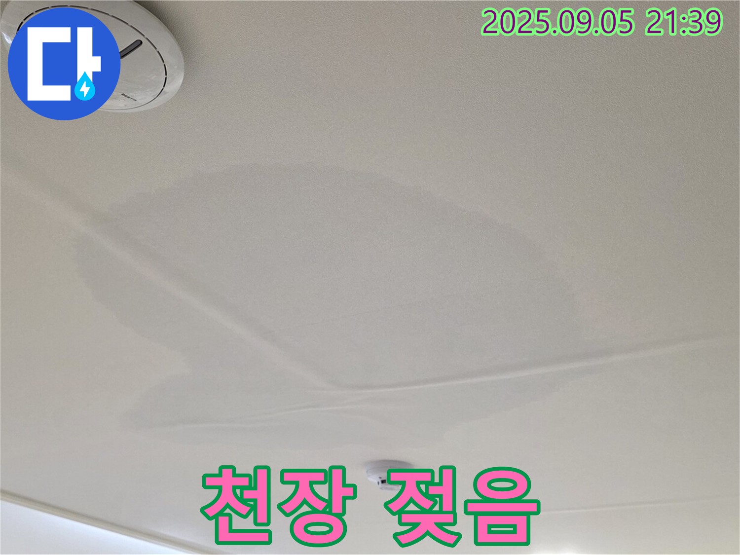 면목동 센트럴아이파크 천장 누수 - 젖어있는 천장