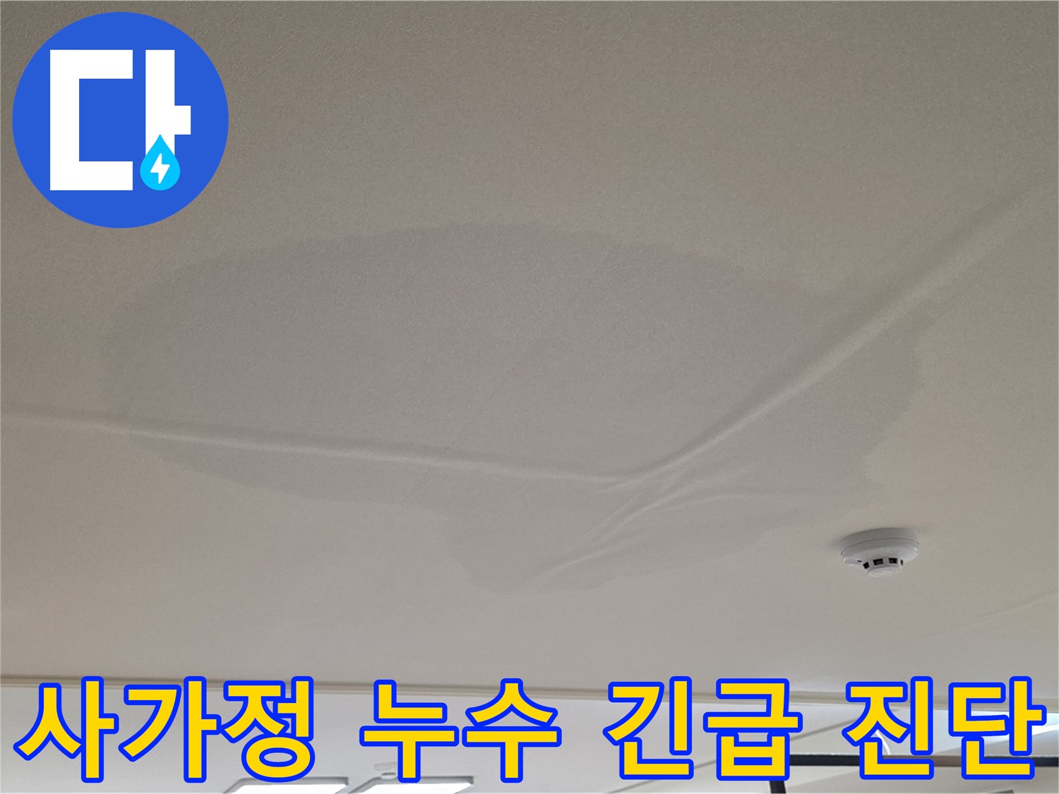 아랫집 천장 누수 - 넓은 범위 물 얼룩 - 긴급 누수 진단 진행