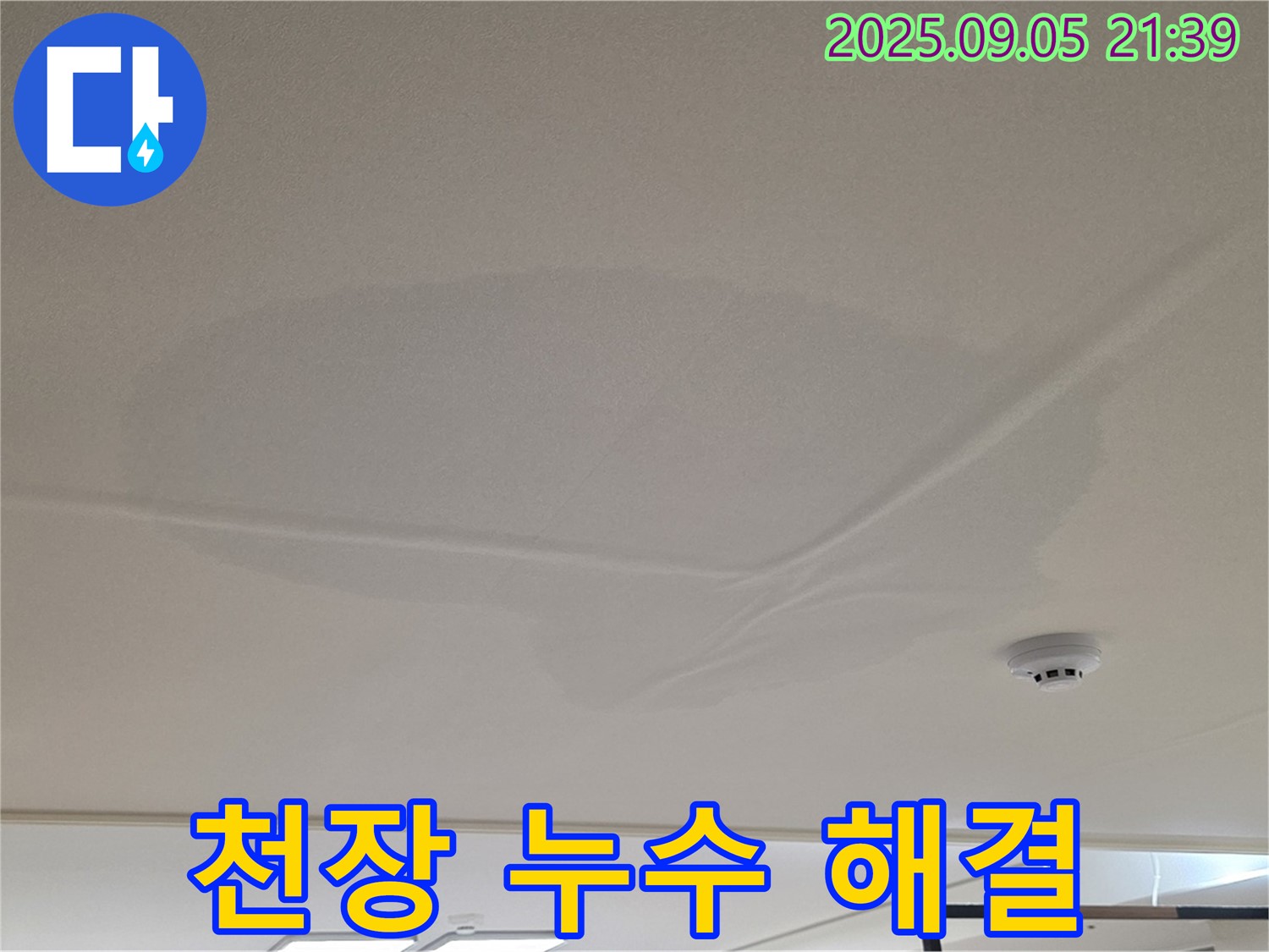 중랑구 면목동 아파트 누수 - 천장 누수 해결 과정, 젖은 천장