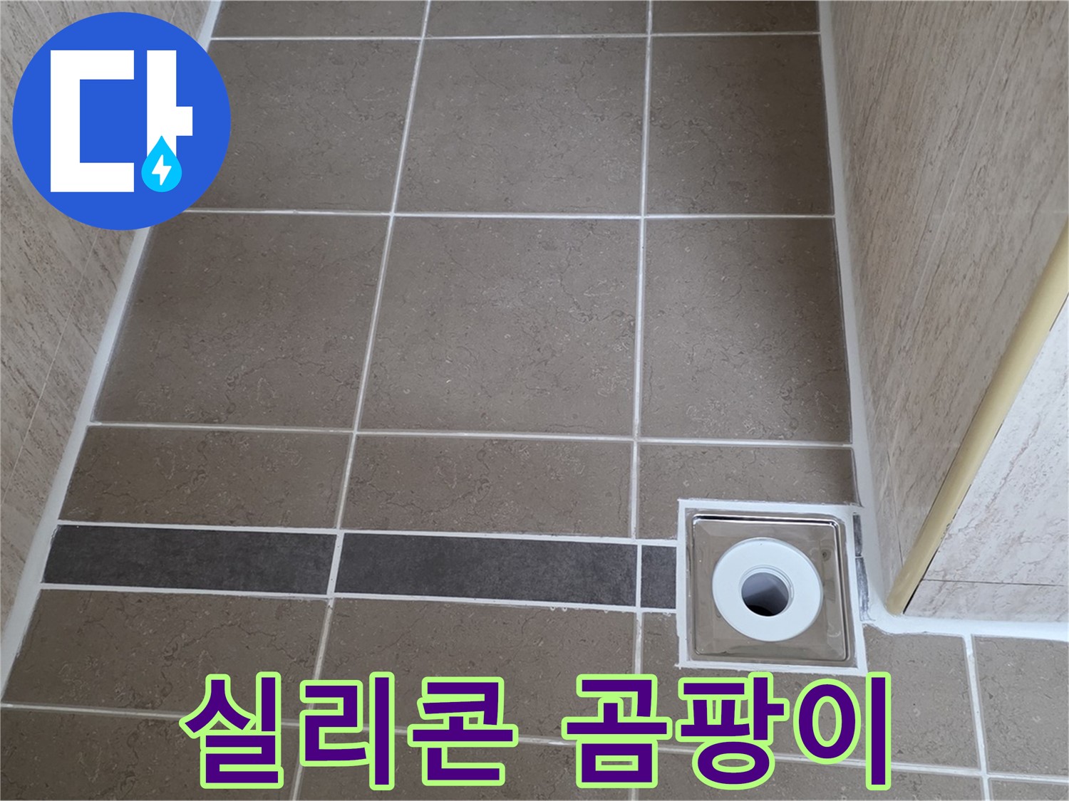 배수구 주변 실리콘 - 곰팡이