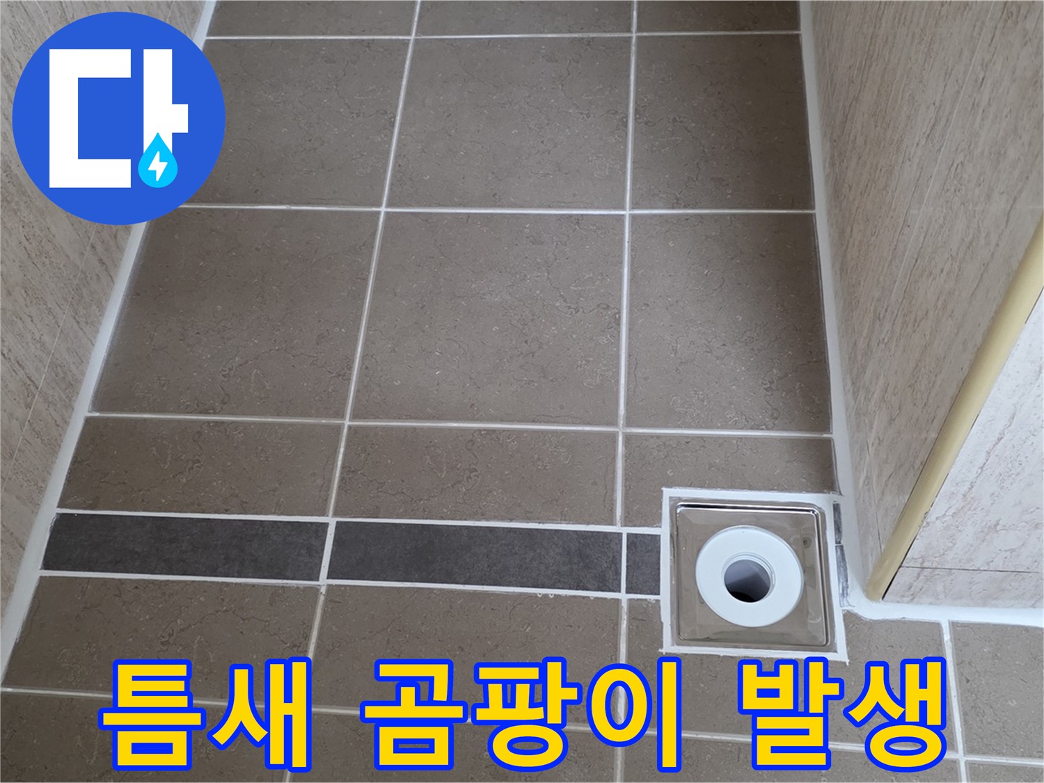 배수구 주변 타일 틈새 - 곰팡이 발생