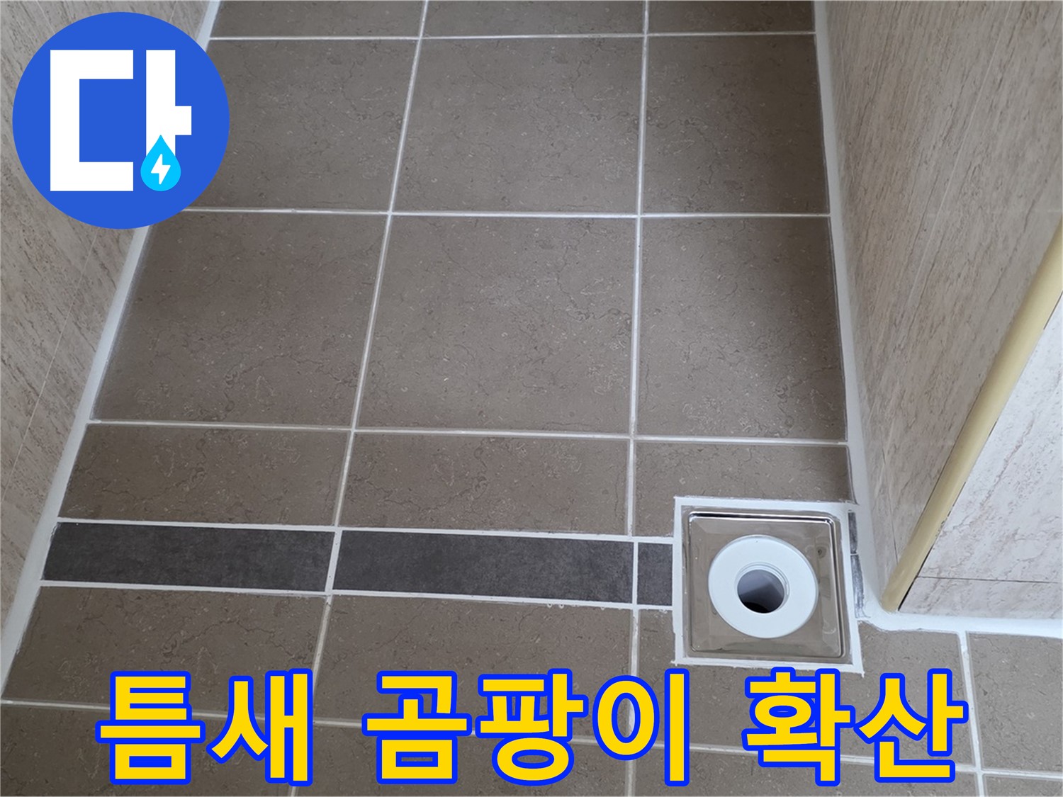 배수구 주변 타일 틈새 - 곰팡이 확산
