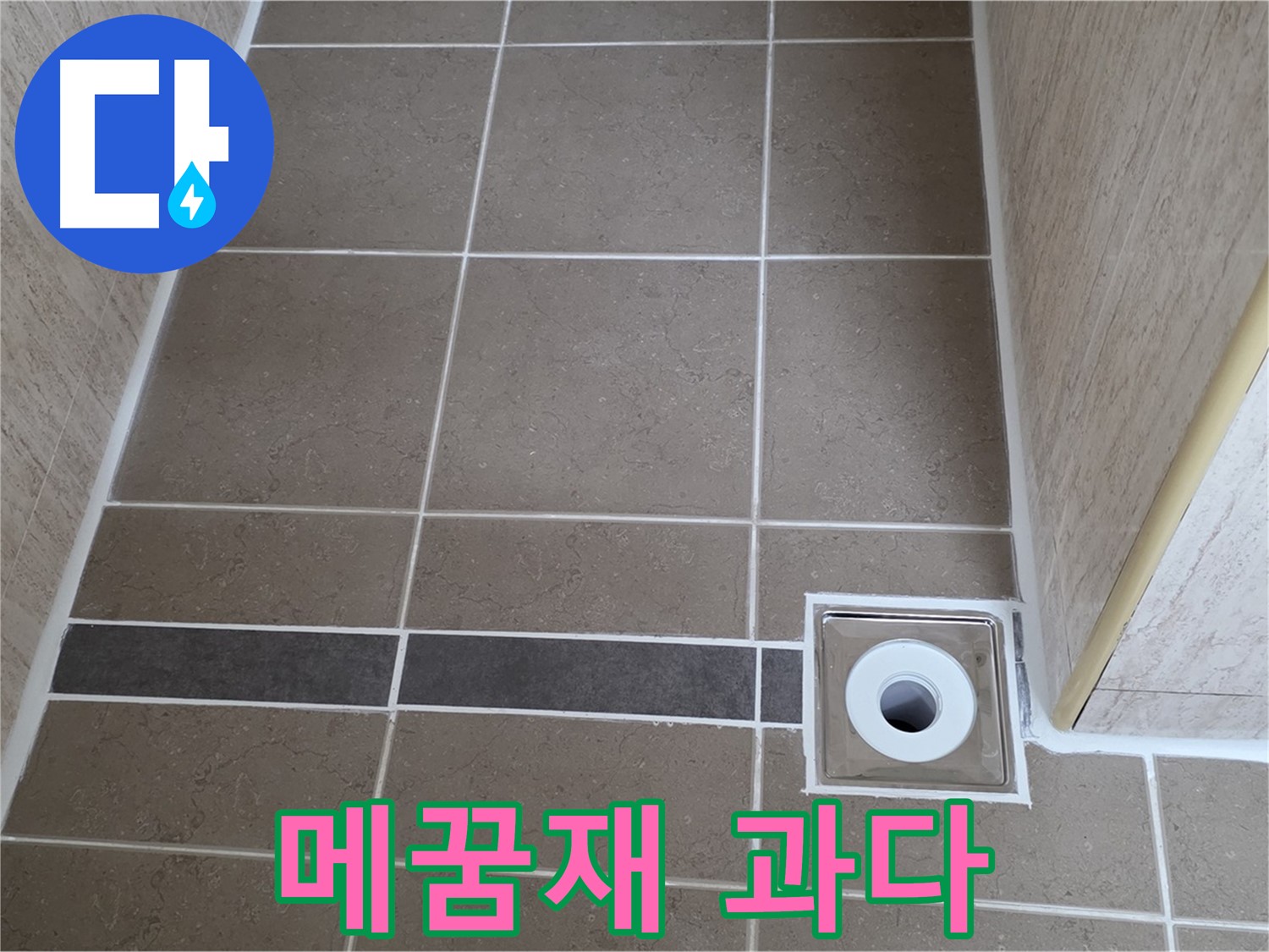 배수구 주변 타일 틈새 - 메꿈재 과다