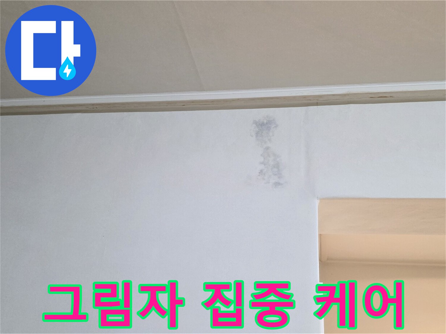 벽 곰팡이 그림자 집중 케어 - 맞춤 솔루션 제공