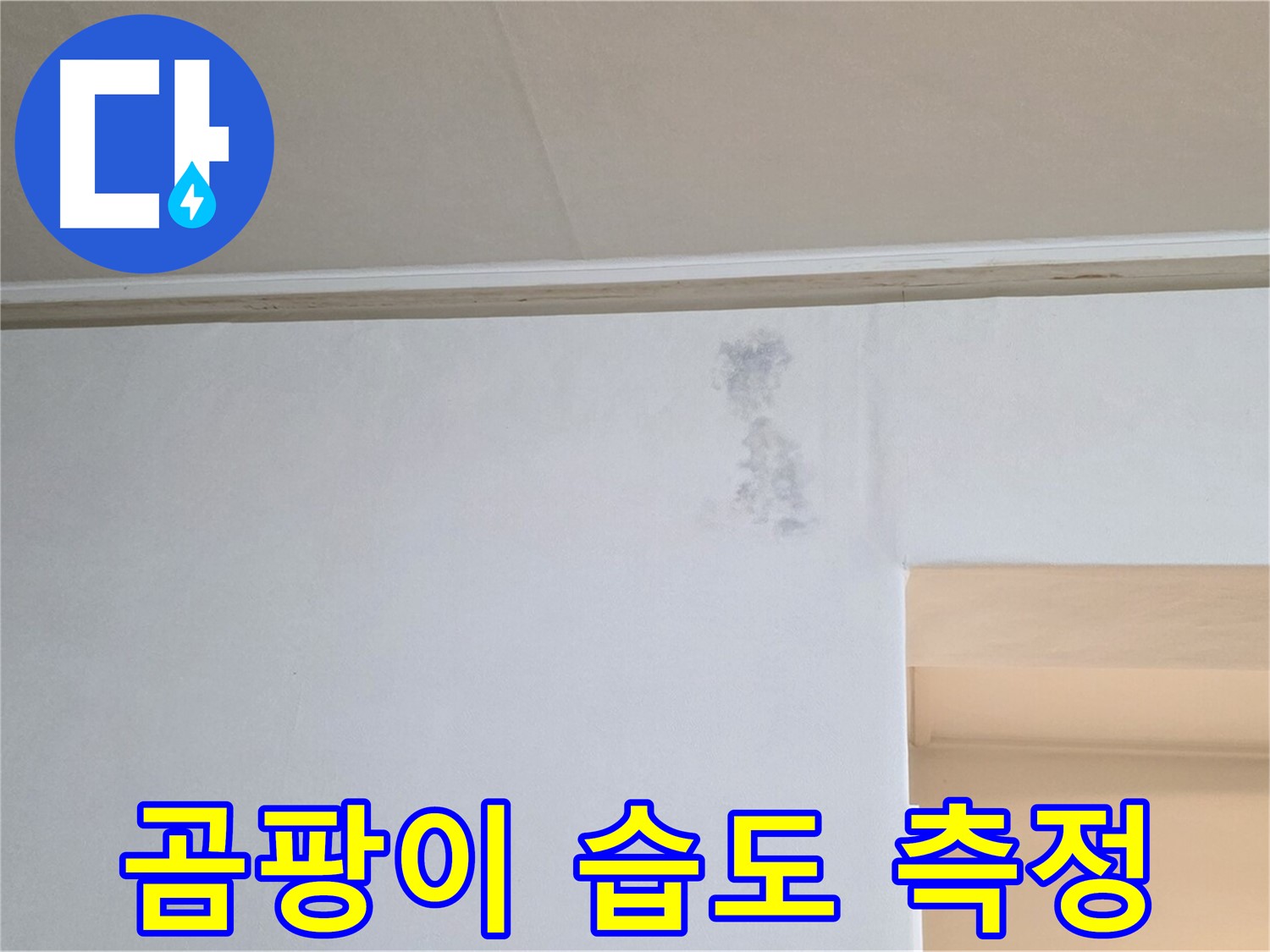 벽 곰팡이 습도 측정 - 누수 진단 과정
