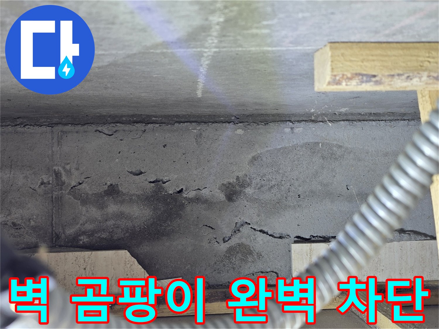 벽 곰팡이 완벽 차단 - 건강한 공간