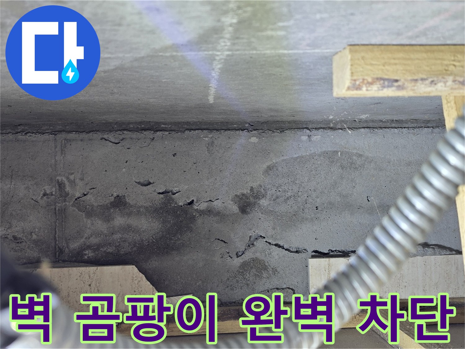 벽 곰팡이 완벽 차단 - 건강한 공간