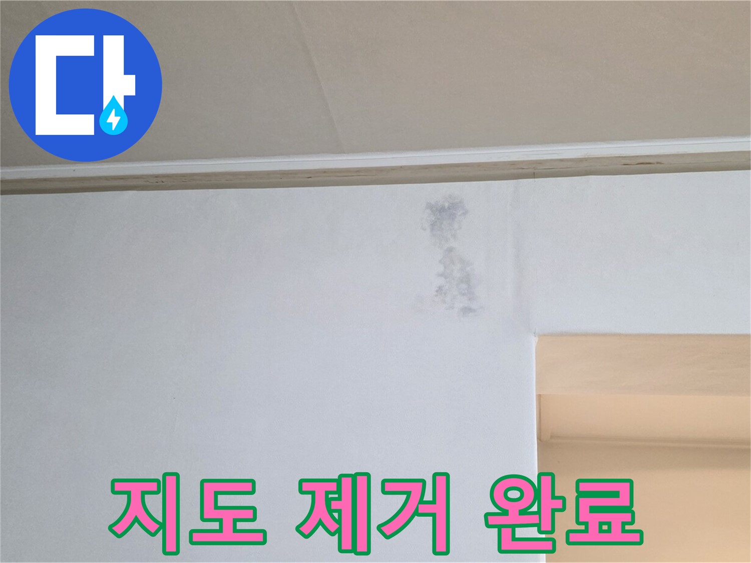 벽 곰팡이 지도 제거 - 깨끗한 백지도 벽 복원