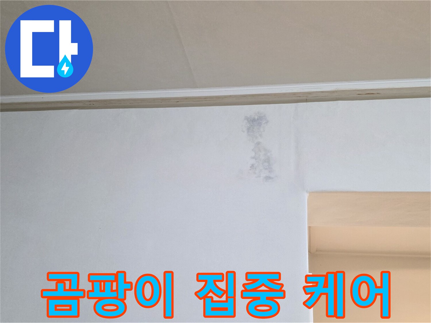 벽 모서리 곰팡이 집중 케어 - 맞춤 솔루션 제공