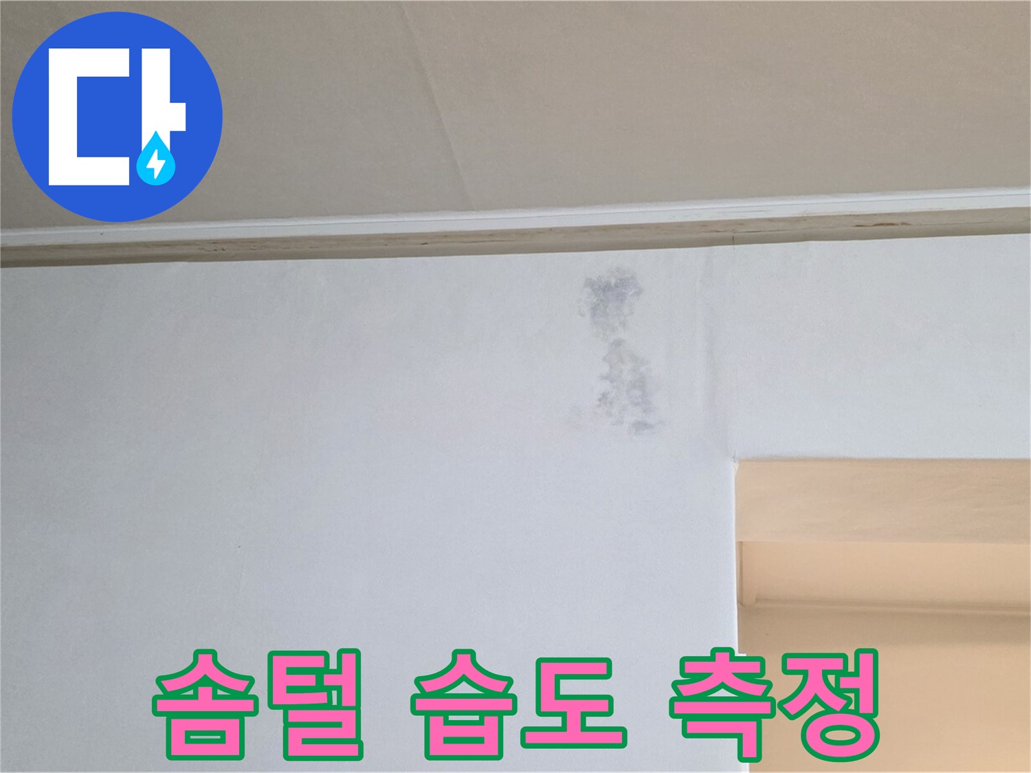 벽 솜털 습도 측정 - 곰팡이 & 누수 정밀 검사