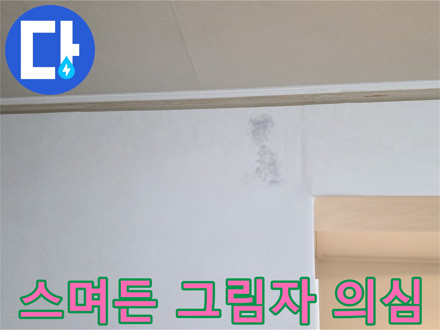 벽 스며든 그림자 - 곰팡이 초기 & 누수 가능성