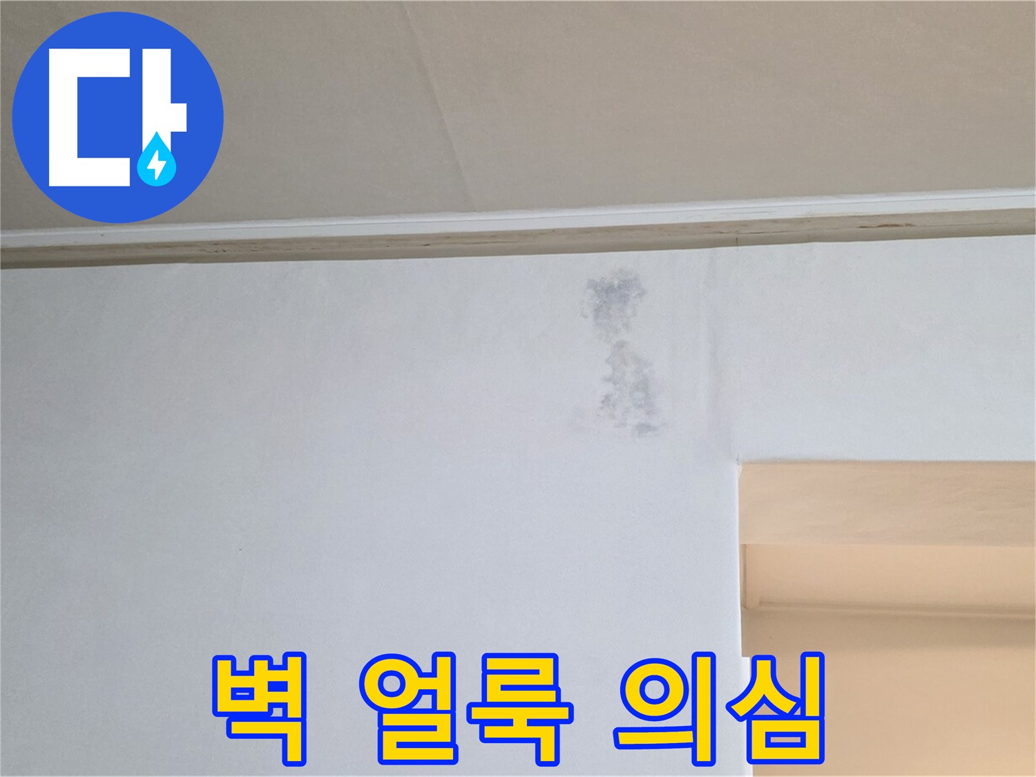 벽 얼룩 - 곰팡이 & 누수 초기 의심
