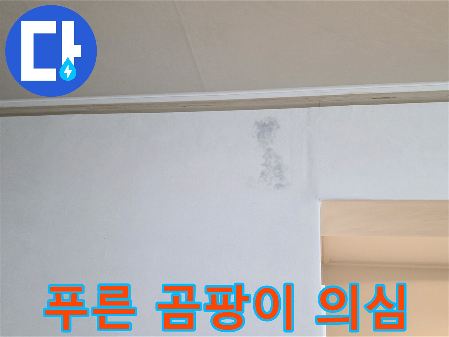 벽 푸른 곰팡이 - 누수 또는 습기 문제 초기 의심