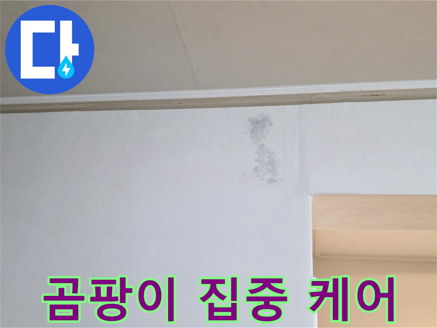 벽 푸른 곰팡이 집중 케어 - 맞춤 솔루션 제공