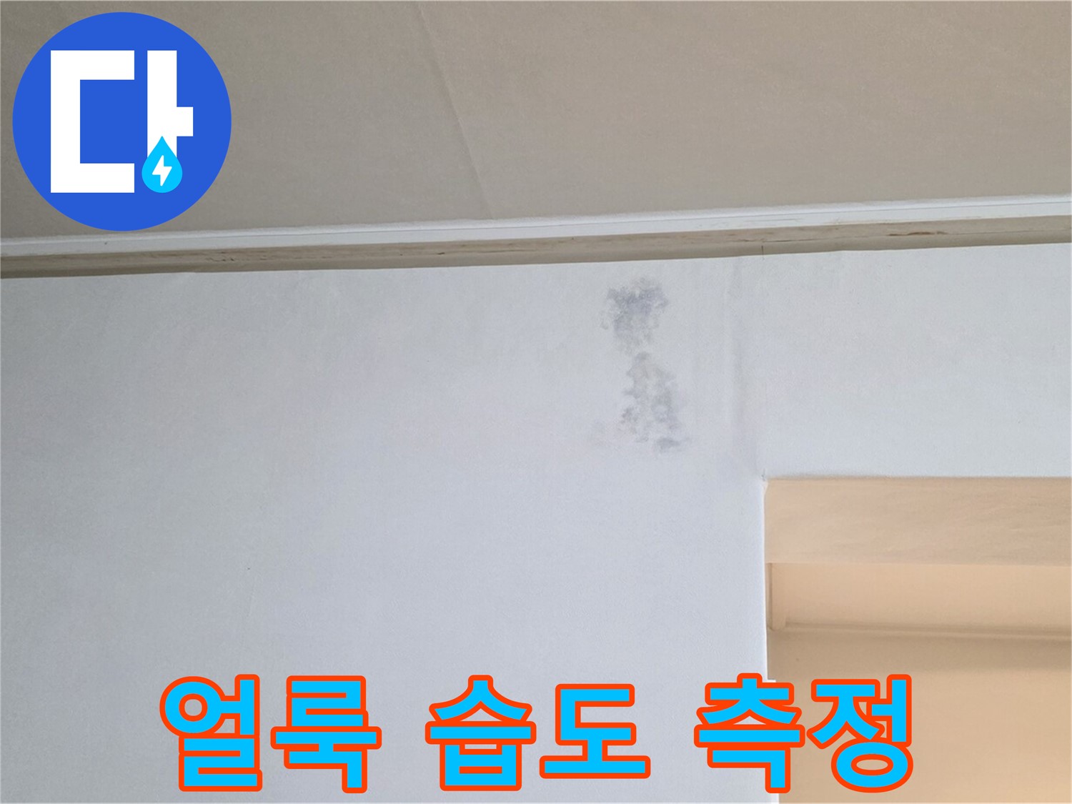 수채화 얼룩 습도 측정 - 누수 & 습기 정밀 분석
