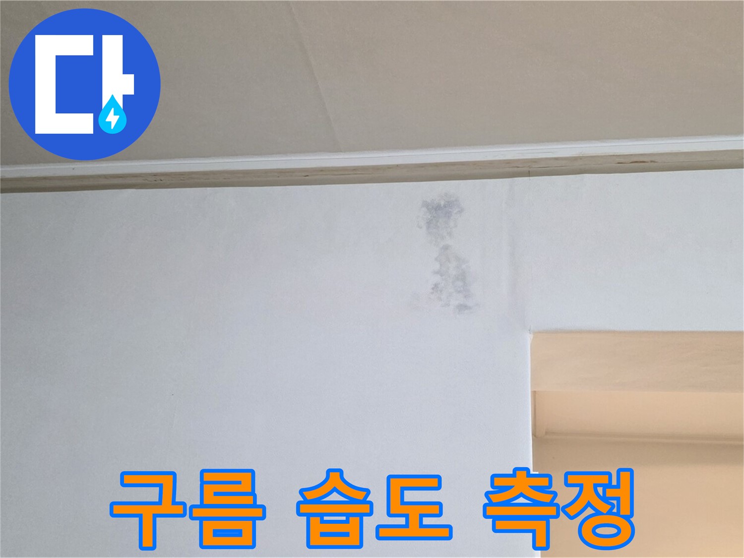 얼룩 구름 습도 측정 - 누수 & 습기 정밀 검사