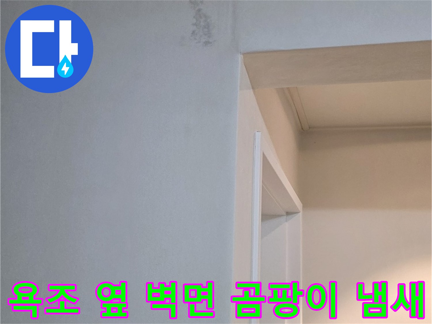 일동 기산리 아파트 욕조 옆 벽면 곰팡이 냄새 - 누수 원인 진단 및 곰팡이 제거