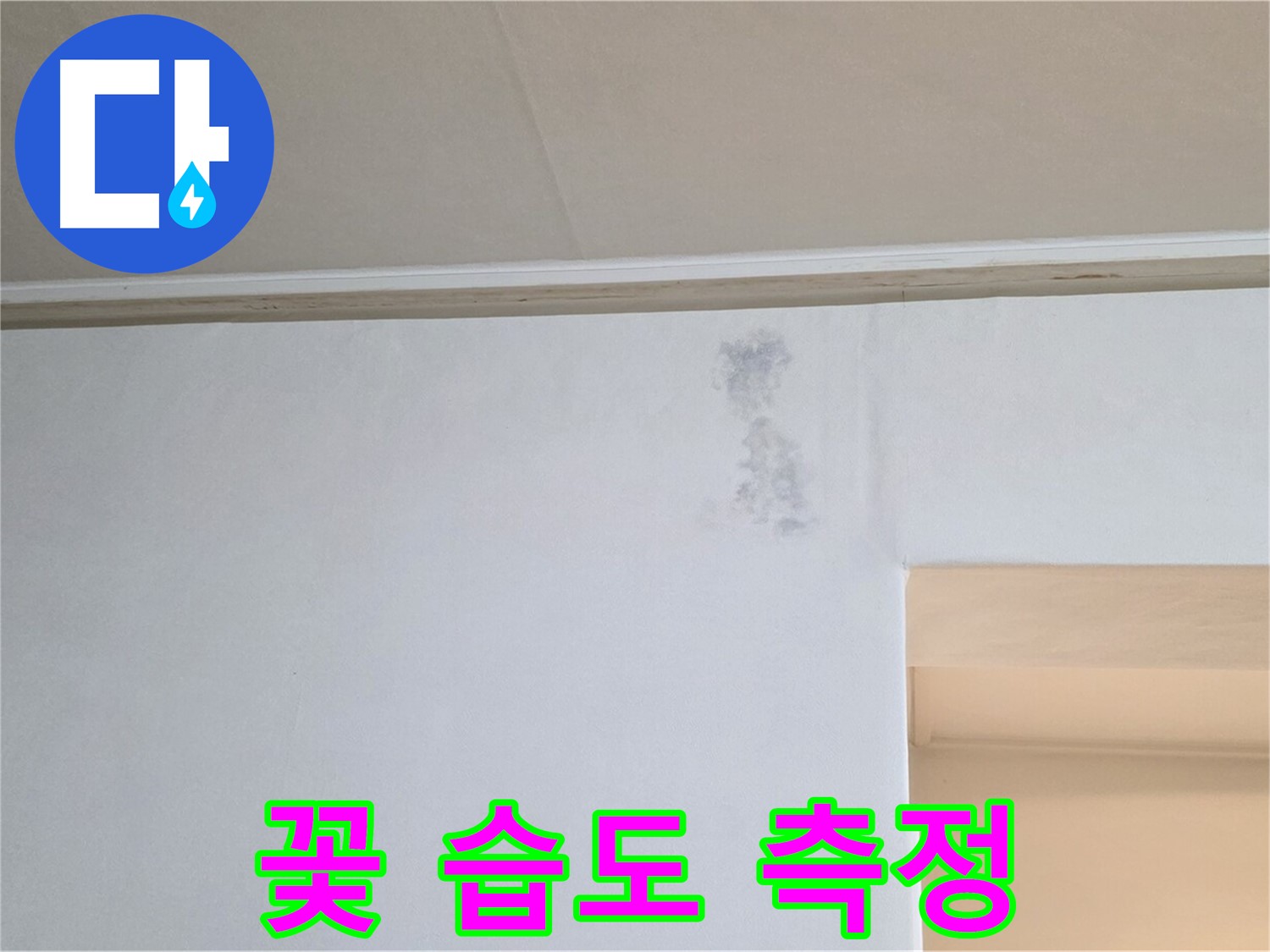 잿빛 꽃 습도 측정 - 누수 & 곰팡이 정밀 검사