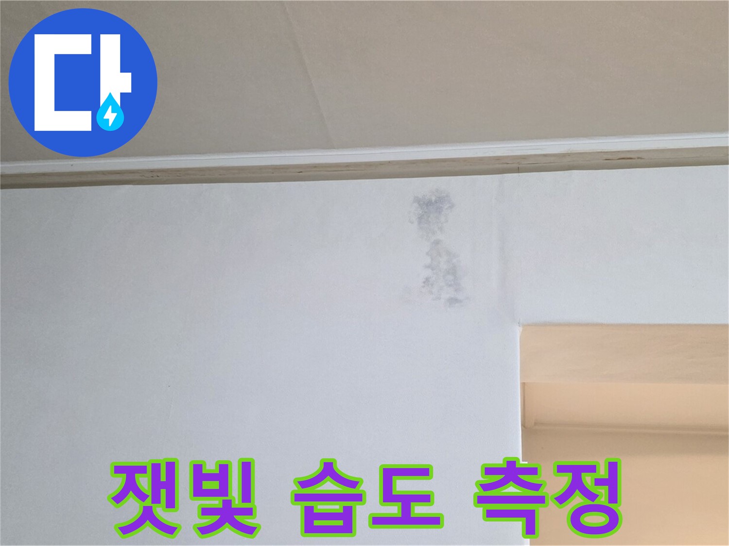 잿빛 얼룩 습도 측정 - 누수 & 습기 정밀 분석
