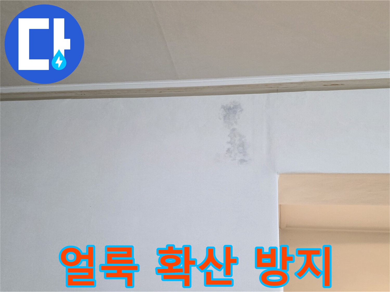 천장 얼룩 확산 방지 - 신속 조치