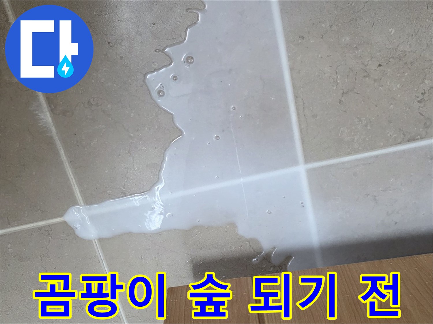 포천 일동 기산리 아파트 - 씽크대 누수로 인해 곰팡이가 무성하게 자라나는 모습 - 곰팡이 숲 되기 전에 SOS