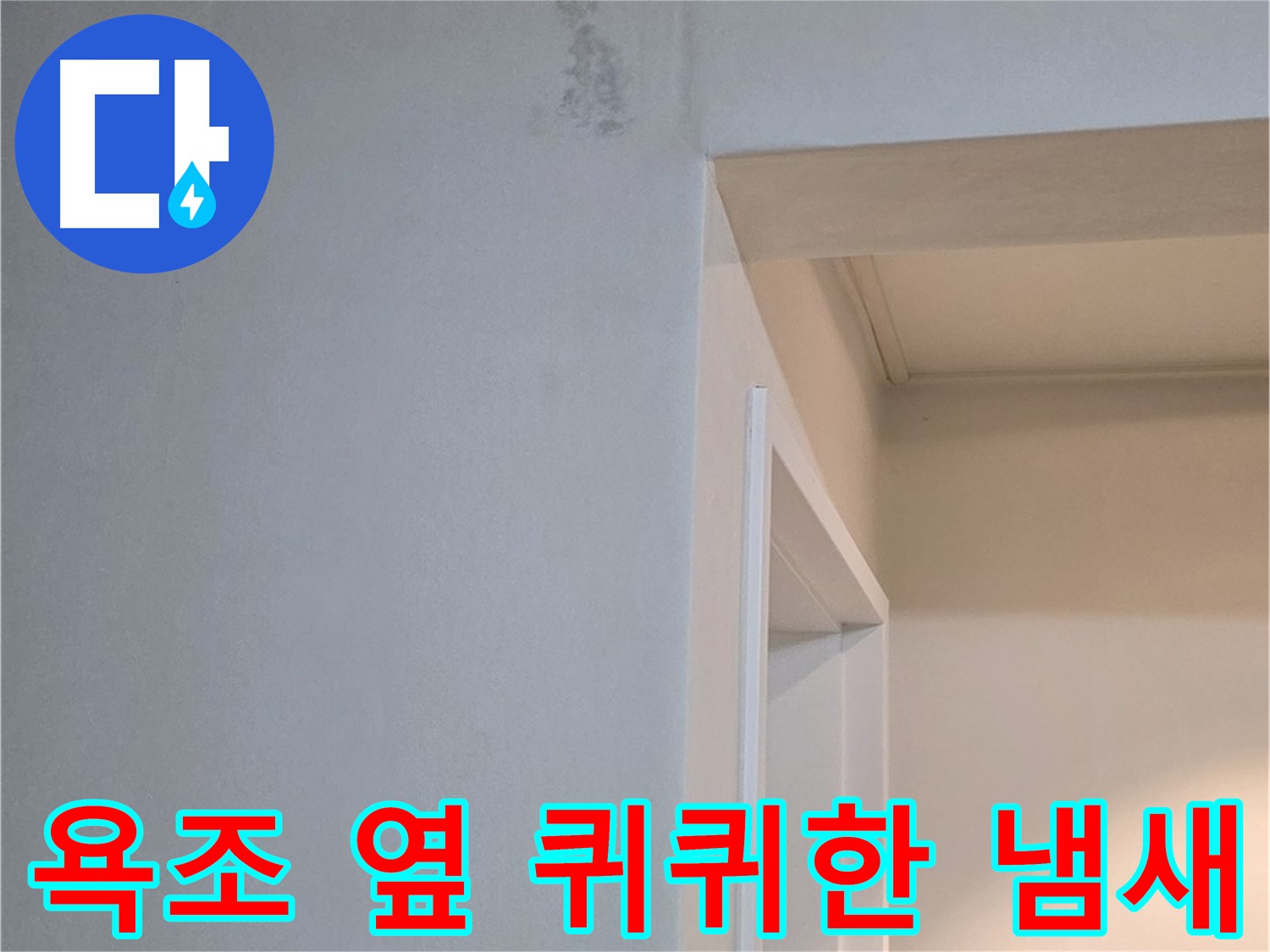 포천 일동 기산리 아파트 욕조 옆 벽면 퀴퀴한 냄새 - 누수 원인 진단 및 신속한 해결