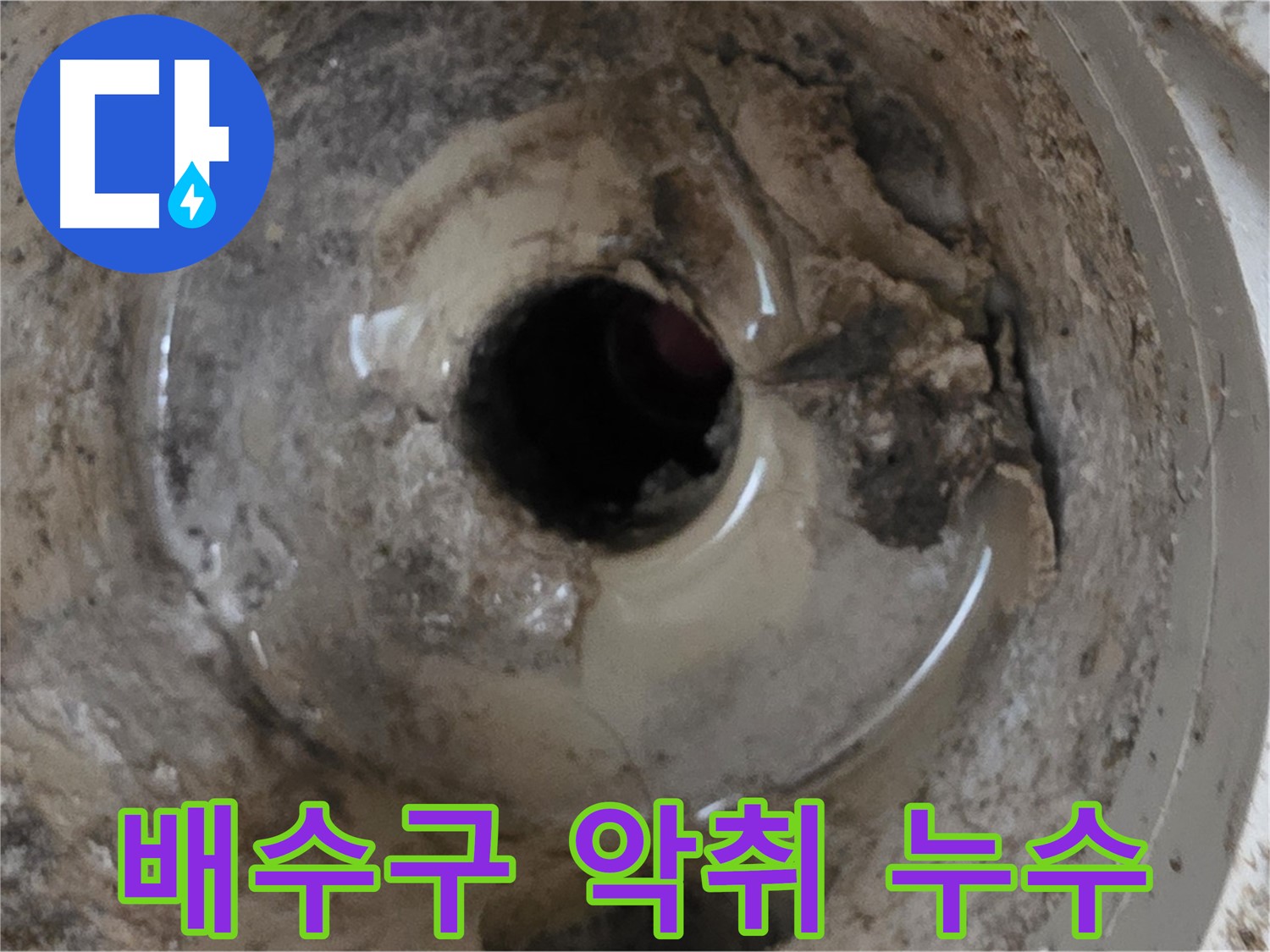 포천 일동 기산베스트빌 아파트 - 베란다 배수구 악취, 누수와 관련 있을 수 있습니다.