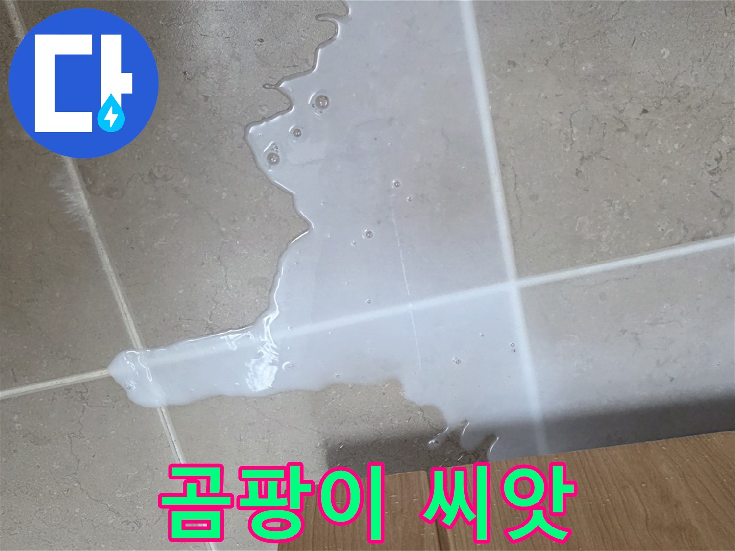 포천 일동 기산베스트빌 아파트 - 씽크대 누수로 인해 곰팡이가 번식하기 시작한 모습 - 곰팡이 씨앗 뿌리기 전에 차단