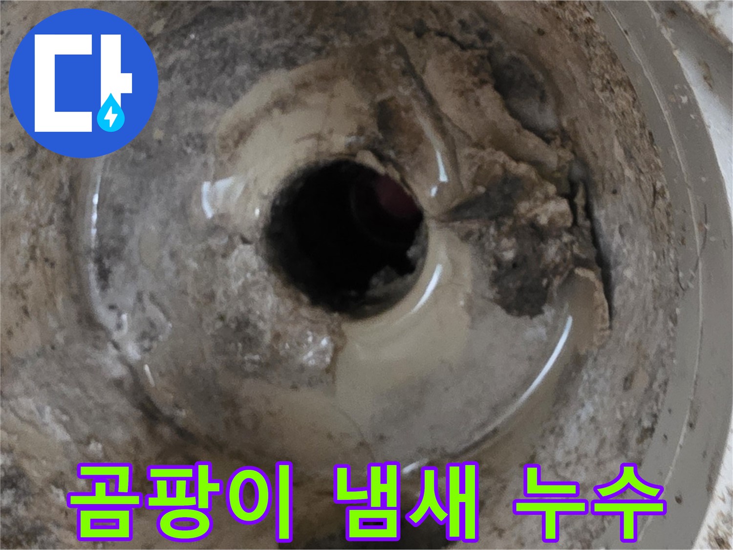 포천 일동 - 누수와 함께 곰팡이 냄새, 베란다 배수구 문제 해결!