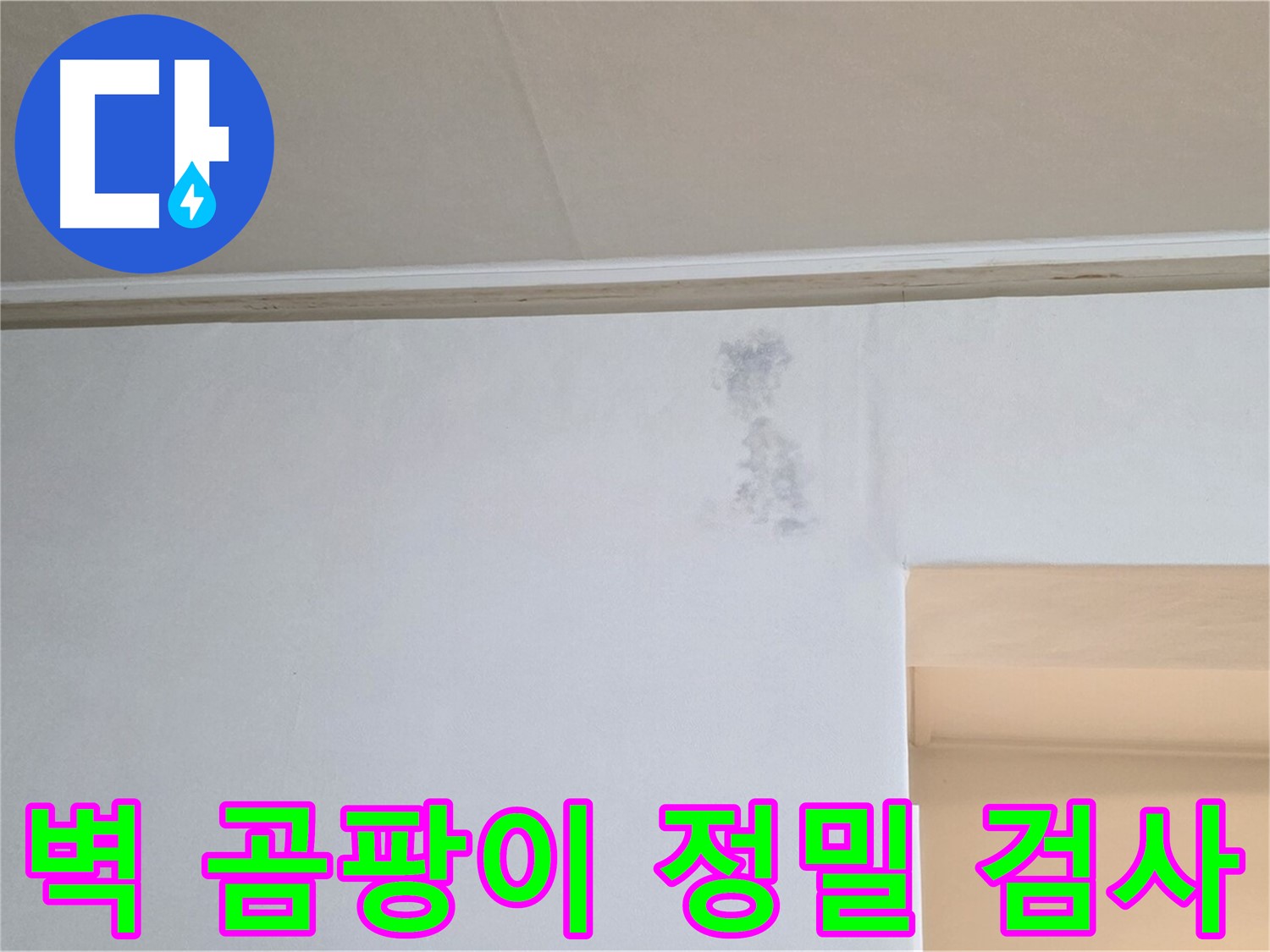 벽 곰팡이 발생 - 정밀 검사로 누수 원인 파악
