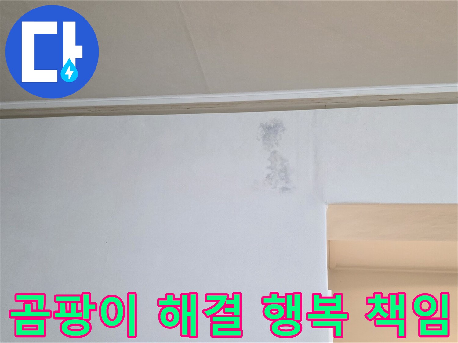 곰팡이 문제 해결 - 고객님의 행복을 책임집니다