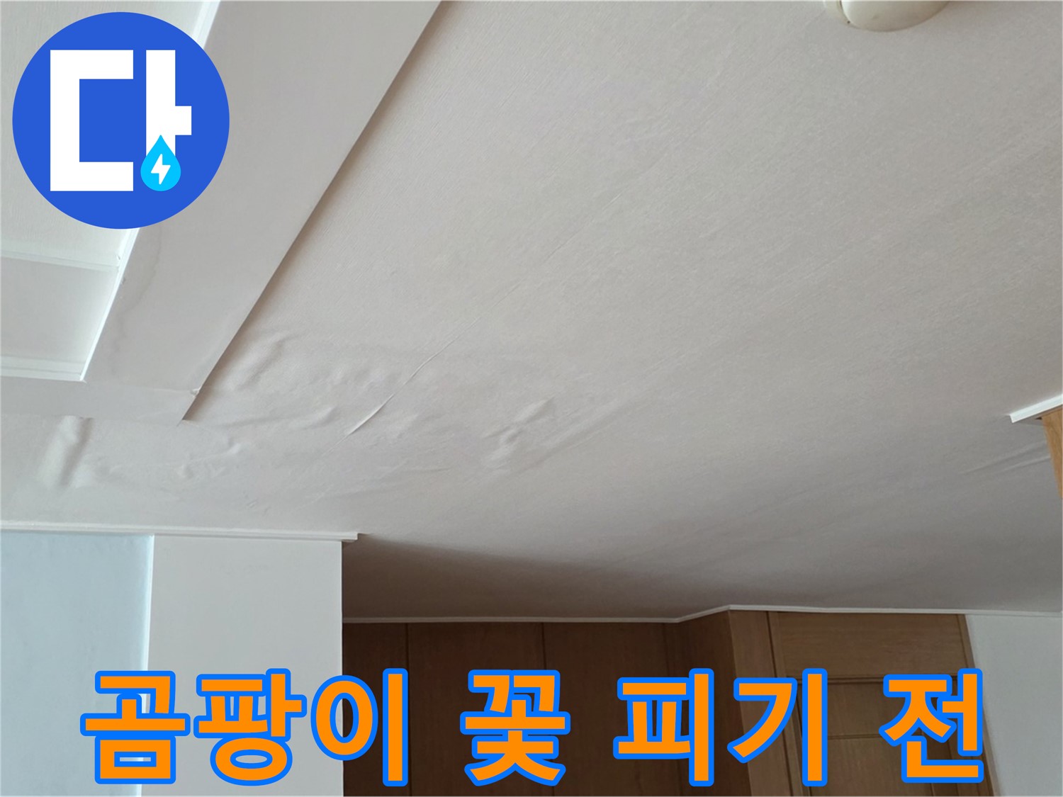 포천 일동 아파트 누수 - 곰팡이 꽃 피기 전 누수 해결